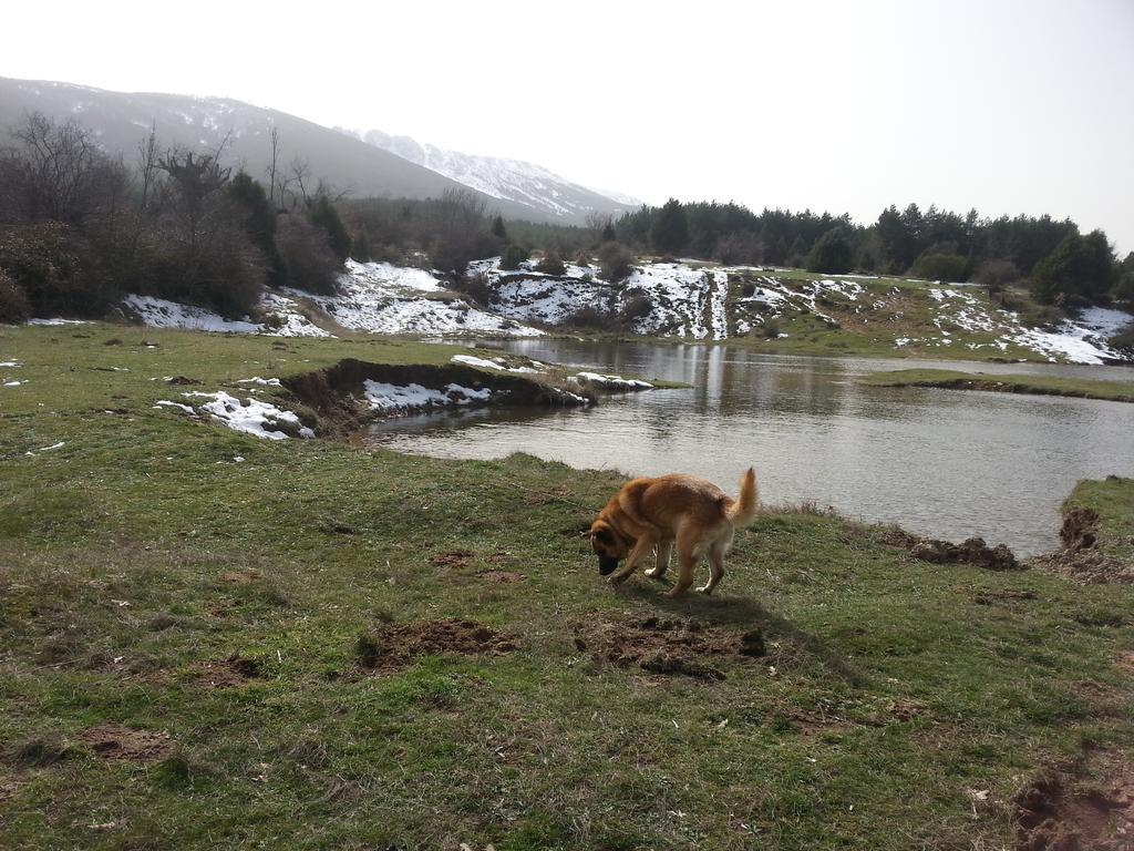 El Refugio Del Dragon Pansiyon Arcones Dış mekan fotoğraf